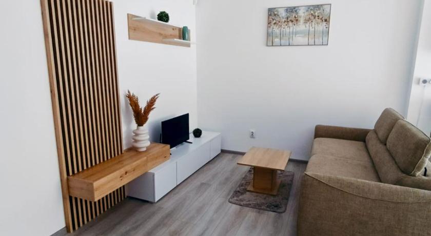 FLH - Apartament Central Silva