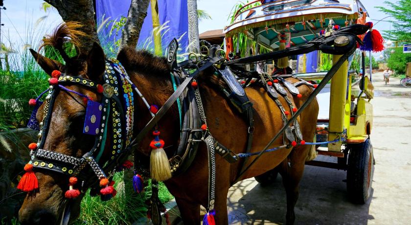a horse pulling a carriage down a street, Senang Private Villa in Lombok