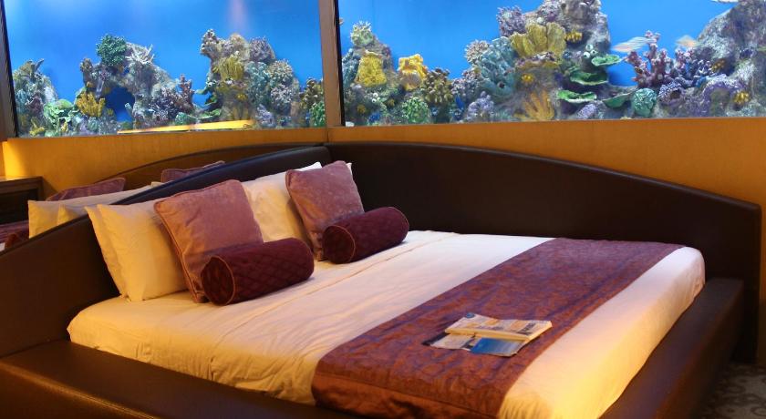 Image of Aqua Room 11