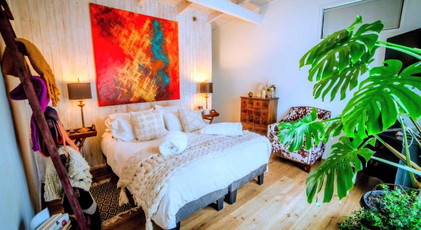 Hau Lodge Malalcahuello Corralco Starlink