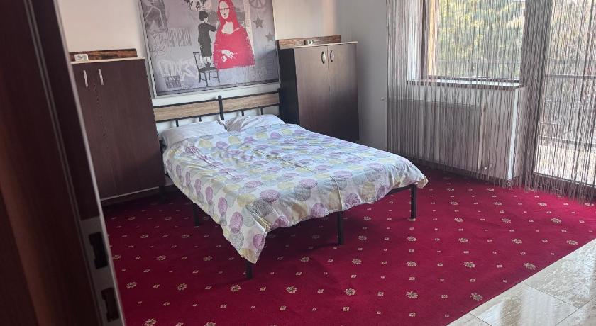Vila cu trandafiri - Cozy Apartments Studio cu pat matrimonial