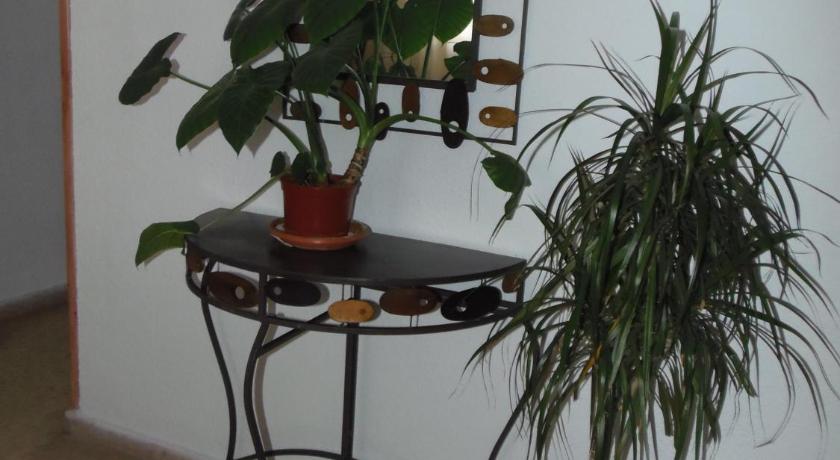 Hostal Ventorrillo photo
