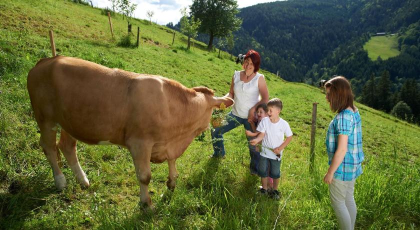 Farm Stay Gradisnik Peaceful Countryside with Homemade Breakfast