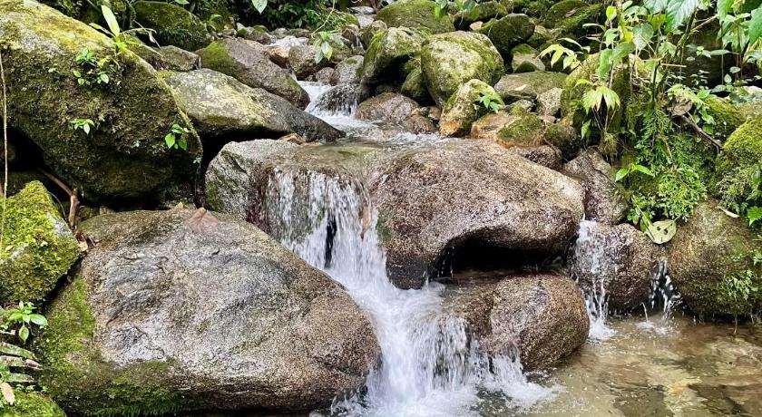 Soplo del Tambo - Naturaleza y Bienestar