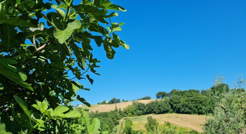 B&b Verdi Colline