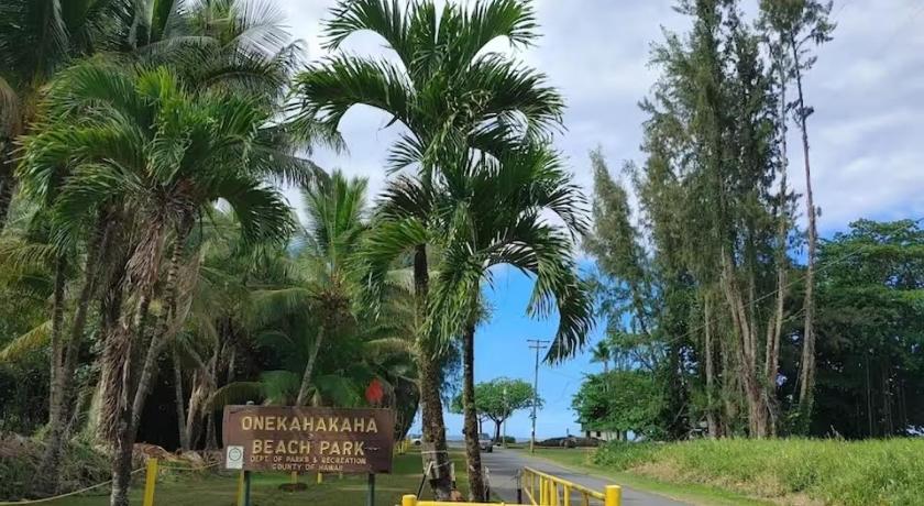 힐로 (HI) Oceanfront Views • Balcony + Top Hilo Location 숙소 객실