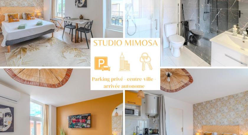 Mimosa Roanne centre-ville - Parking & Clim