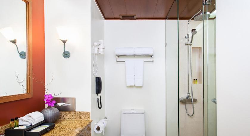 豪華泳池特大房 (Deluxe Pool King)的照片 11