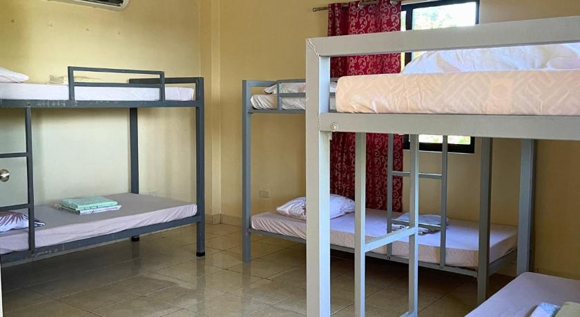 Standard 6 bed dormitory fotója 1