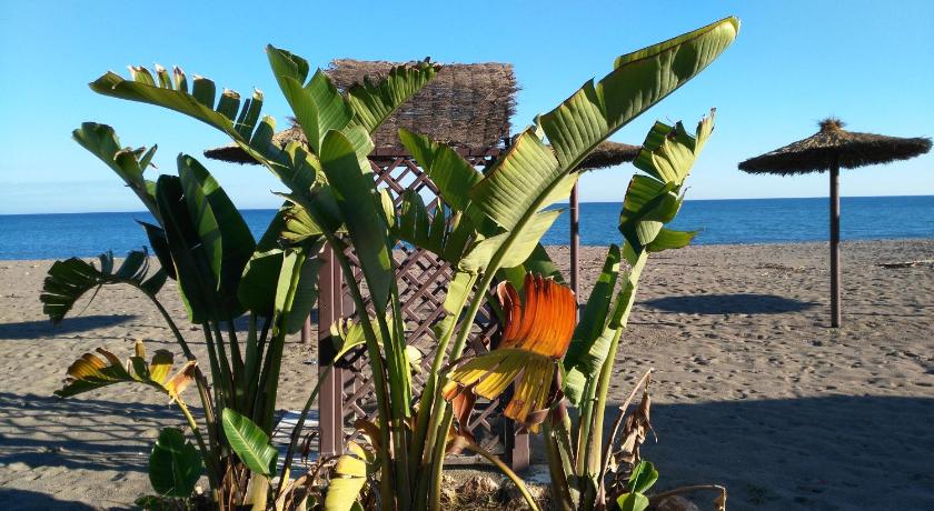 Aloha Paraiso — Hotel in Torremolinos