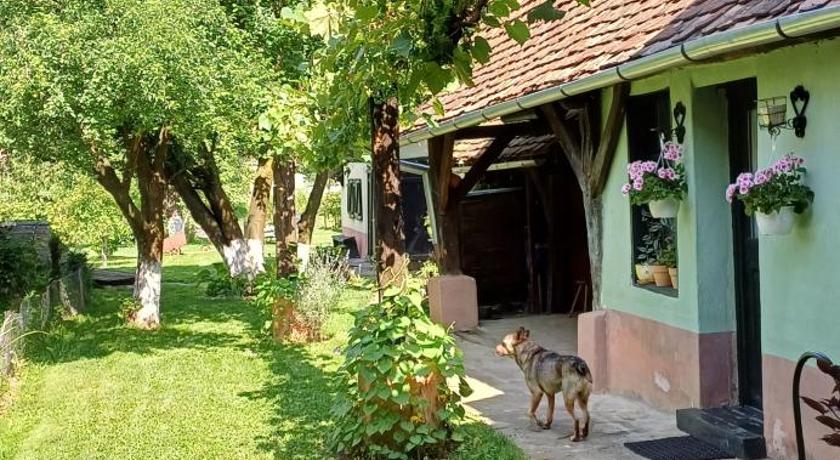 Valchid Guest House