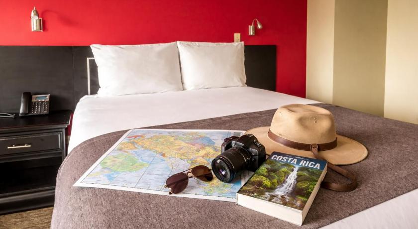 Image of Superior Double or Twin Room 9