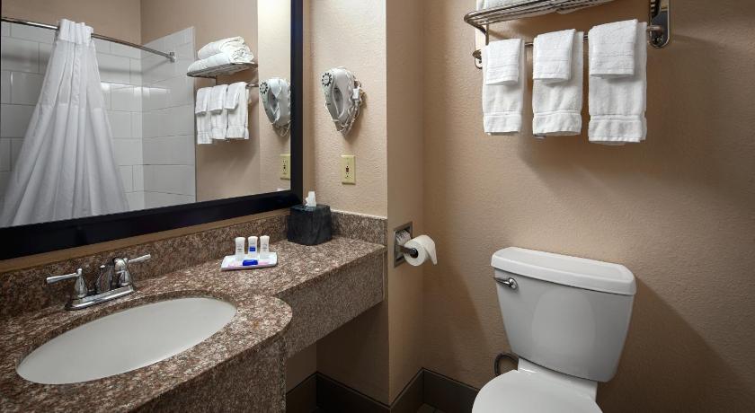 Best Western Plus Kalamazoo Suites