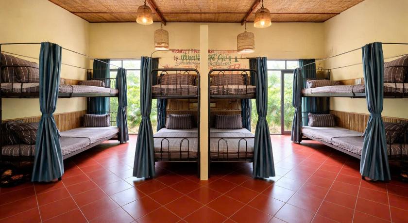 Giường Tầng Trong Phòng Ngủ Tập Thể Cho Nam Và Nữ (Bunk Bed in Mixed Dormitory Room)tooltipGiường Tầng Trong Phòng Ngủ Tập Thể Cho Nam Và Nữ (Bunk Bed in Mixed Dormitory Room)