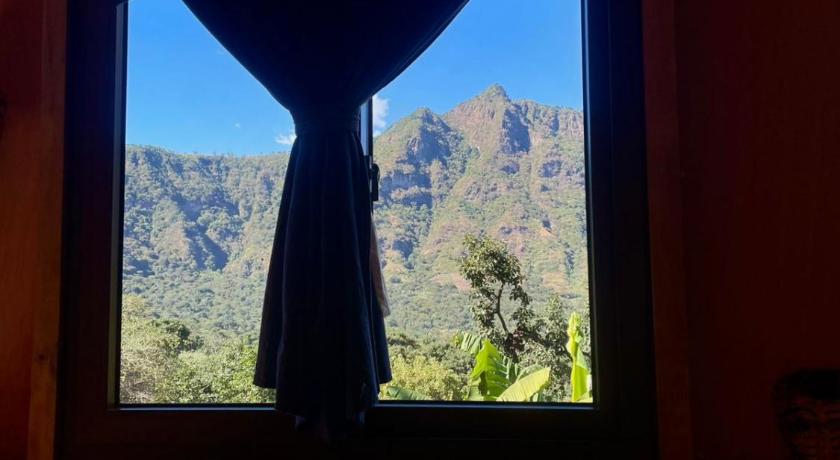 Imagen de Bungalow con vistas al jardín (Bungalow with Garden View) 7
