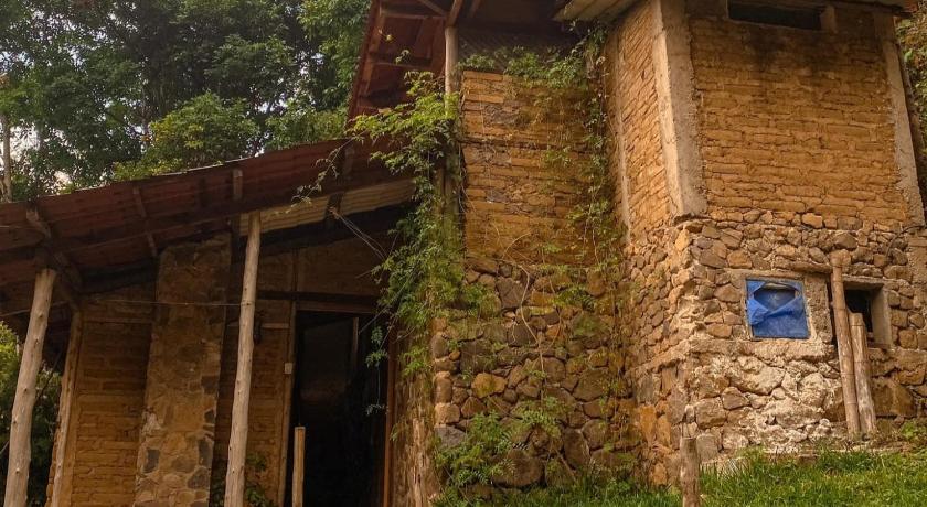 Imagen de Bungalow con vistas al jardín (Bungalow with Garden View) 8