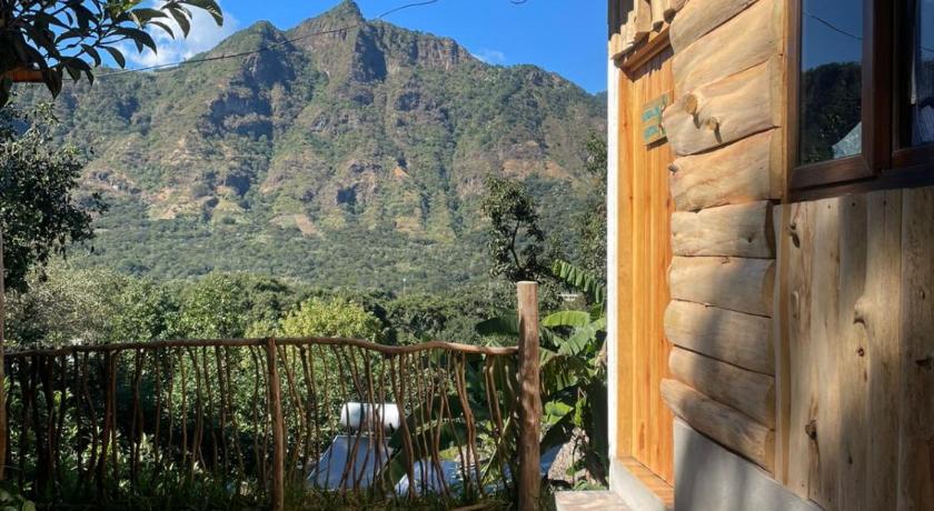 Imagen de Bungalow con vistas al jardín (Bungalow with Garden View) 6