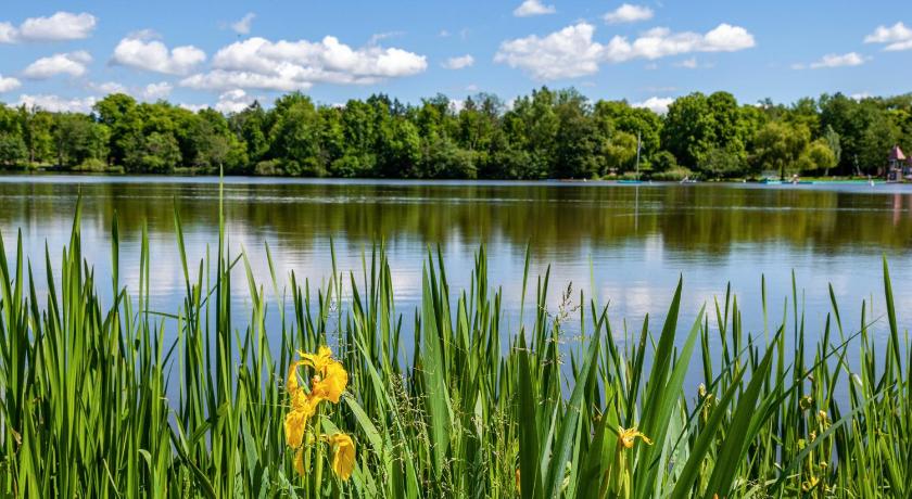 Fewo am Stadtsee - Bad Waldsee