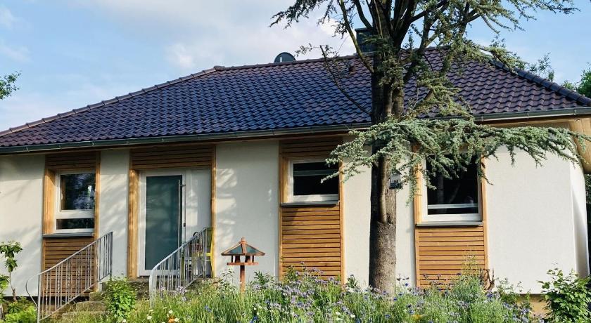 Ferienhaus Urwald