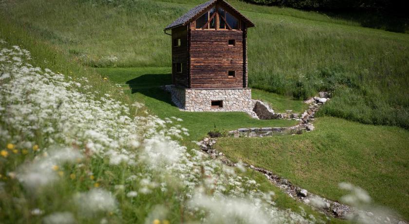 Burgfrieder Mühle