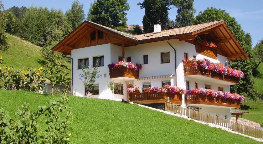 Boznermüllerhof - Geranie