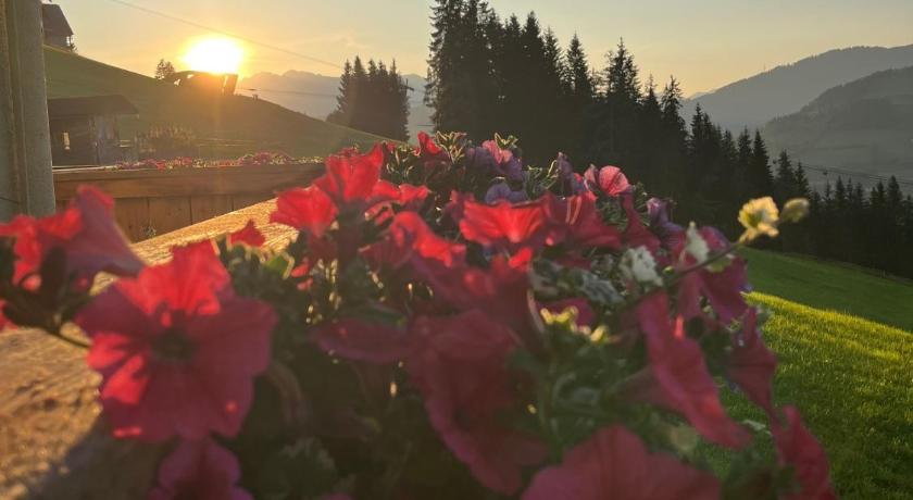 Ferienwohnungen Krapfenalm