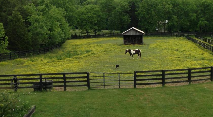 Full Circle Farm Inn photo