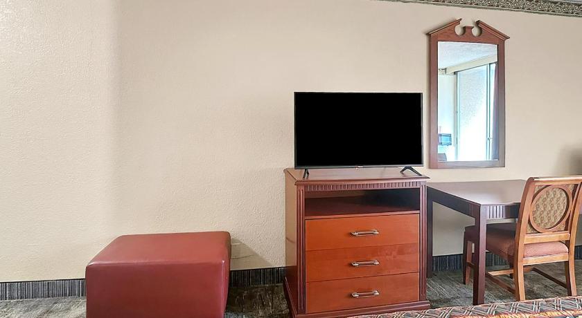 OYO Airport Inn - image 26