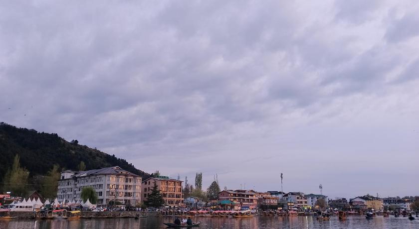 Island Hotel - image 8