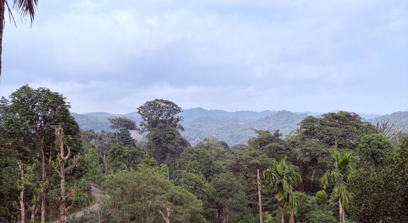 Dishaa Estate View Home Stay - image 39