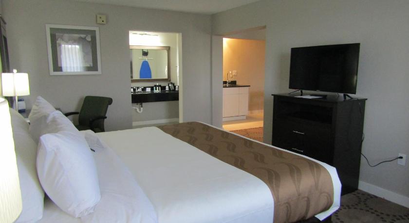 Image of 1 King Bed, Suite, Nonsmoking 1