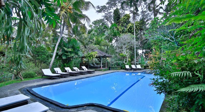 巴厘 Ananda Ubud Resort 3星级 酒店 泳池