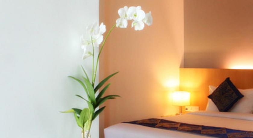 Wyne Hotel photo