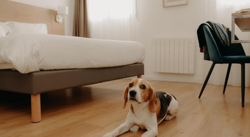 Image of Standard Room - 1 Single Bed 10