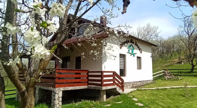 Căsuța din Livadă Schiulesti