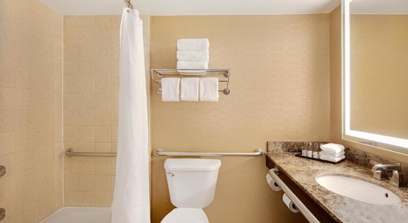 Image of Traditional King Room with Roll-in Shower - Mobility Accessible 9