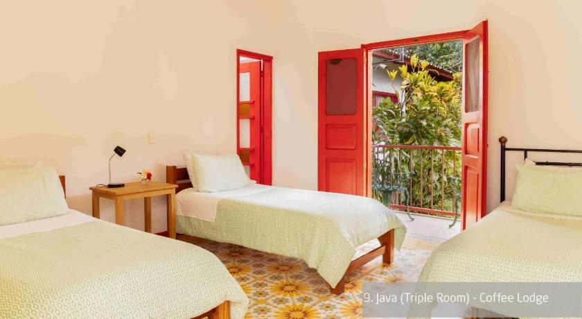 Image of Double or Twin Room with Mountain View - COFFEE LODGE 0
