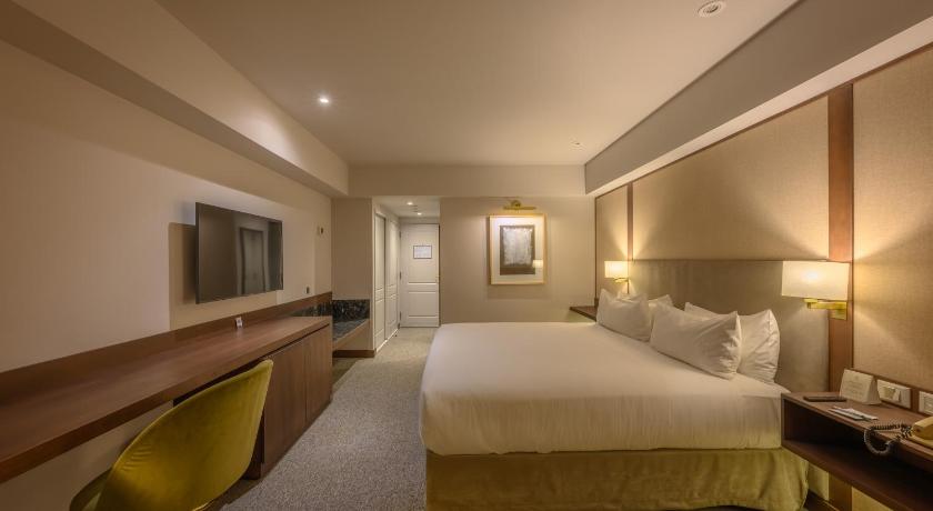 Image of 1 King Premium Mountain View 1
