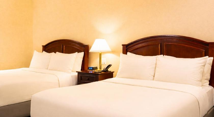 Image of Double or Twin Room 5