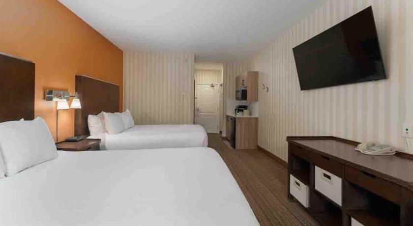 Image of 2 Bedroom Suite, 1.5 bathrooms 9