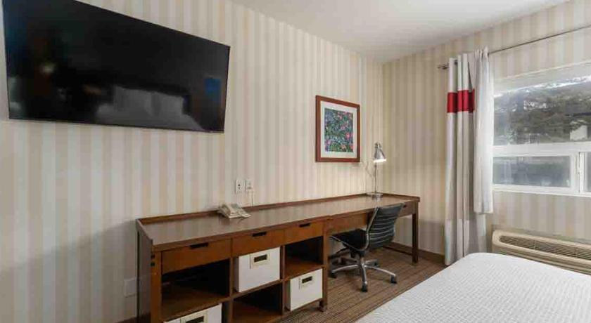 Image of 2 Bedroom Suite, 1.5 bathrooms 14