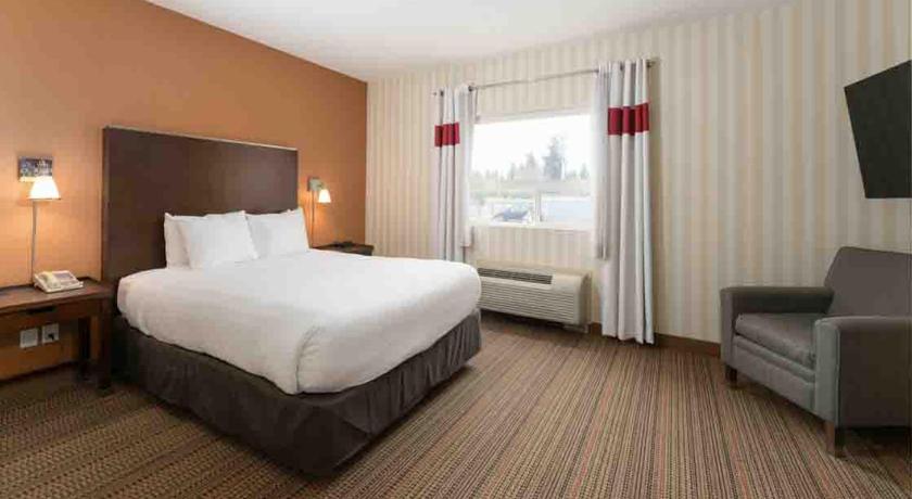 Image of 2 Bedroom Suite, 1.5 bathrooms 3