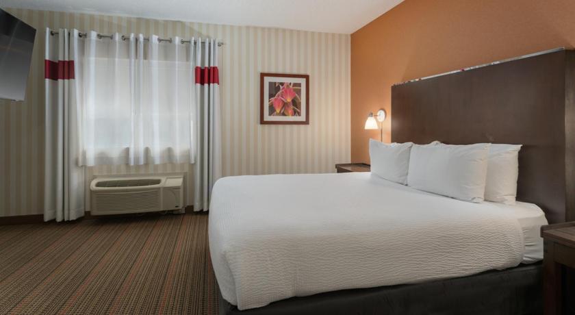 Image of 2 Bedroom Suite, 1.5 bathrooms 4