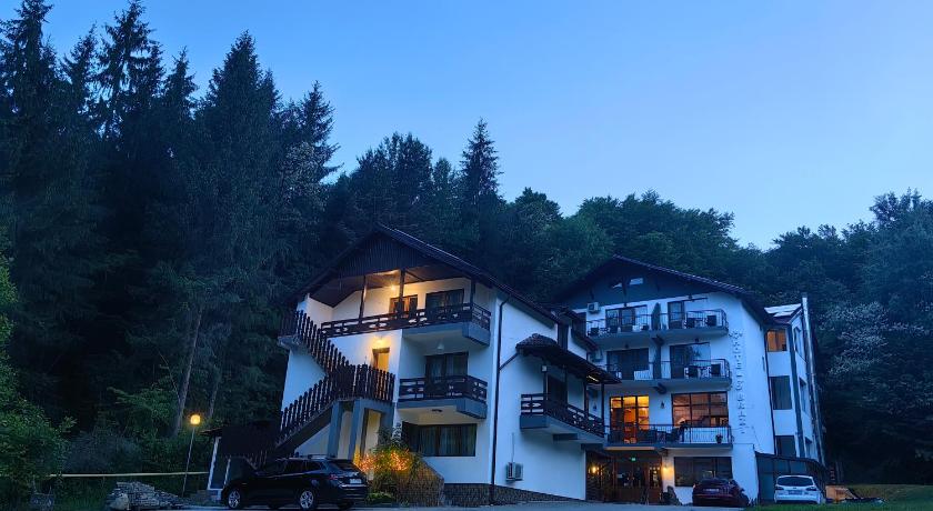 Hotel Trei Brazi