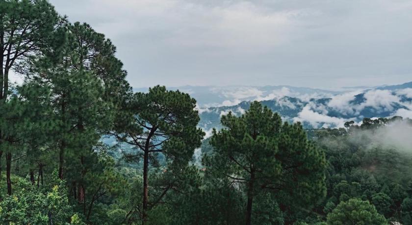 Evening sky Homestay kasauli - image 25