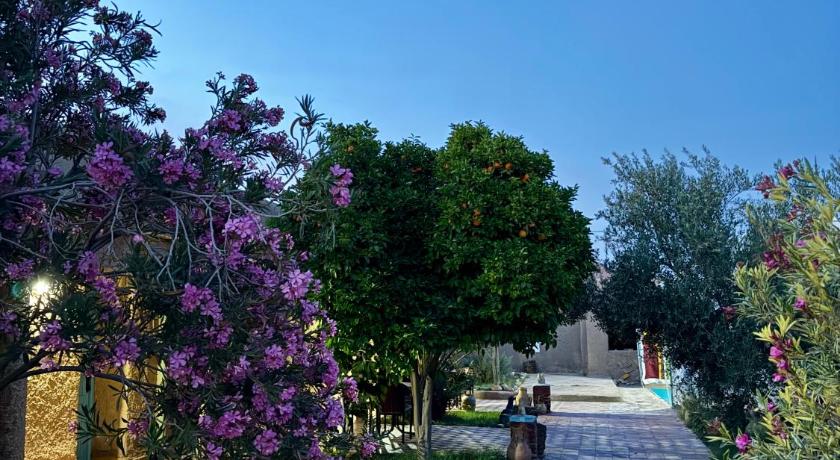 Gite d etape Khettara Oasis