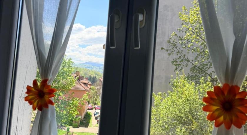 Apartament Iasmina 2
