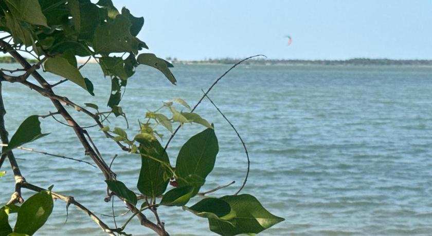 Imagen de Single Room with Lake View 9