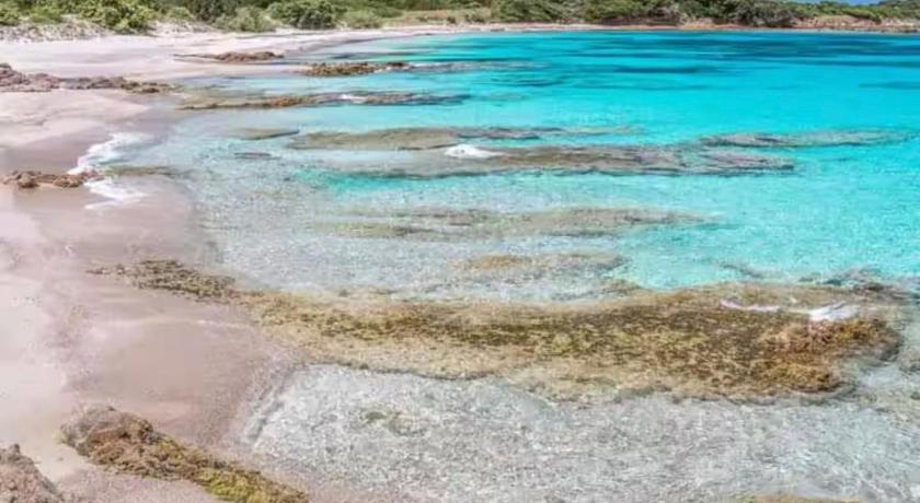 Sardegna selvaggia a due passi dal mare