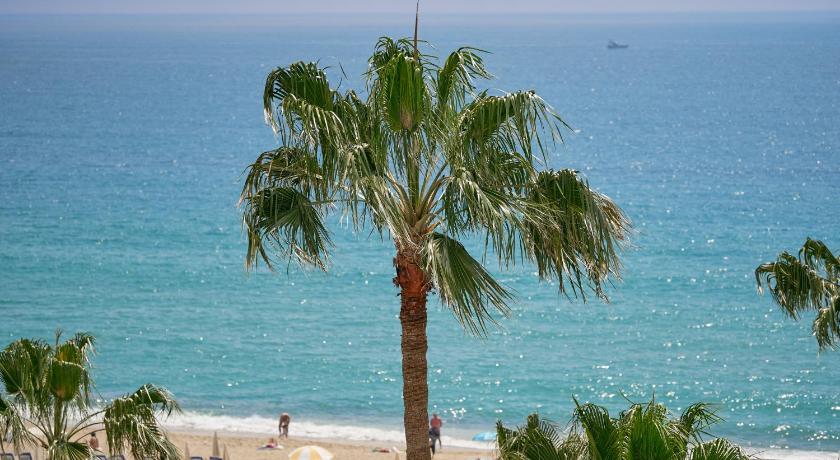 Elysee Beach Hotel - image 42